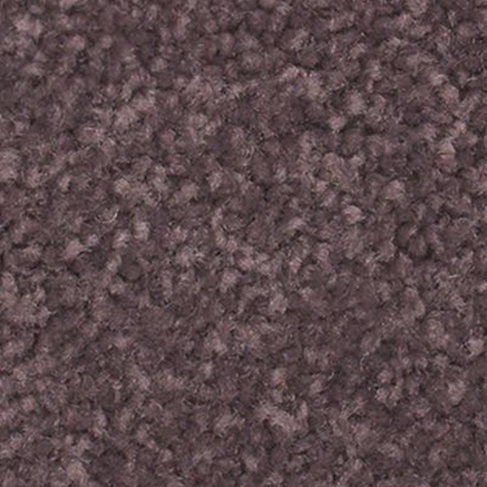 Textured Saxony Paris Purple Carpet