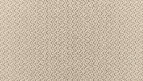Loop Mountain Mist Beige/Tan Carpet