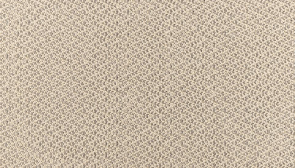 Loop Mountain Mist Beige/Tan Carpet