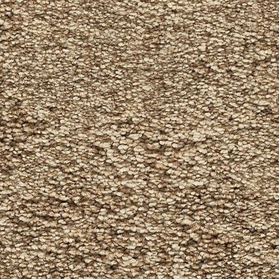Textured Saxony Catalina Shore Beige/Tan Carpet