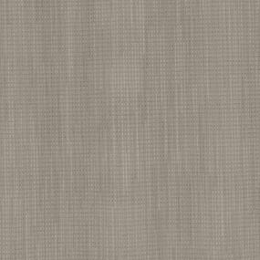 Loop Taupe Haze Beige/Tan Carpet