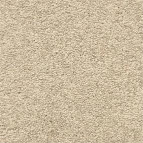 Casual Texture Plateau Beige/Tan Carpet