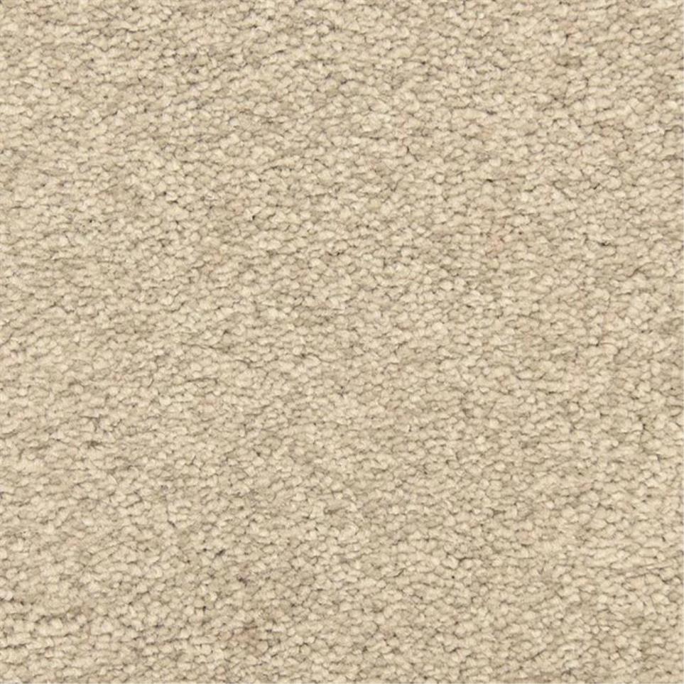 Casual Texture Plateau Beige/Tan Carpet
