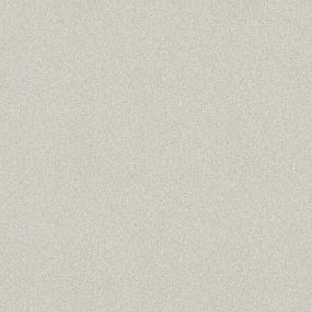 Textured Saxony Sentimental Beige/Tan Carpet