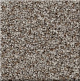 Texture Stone Tablet Gray Carpet