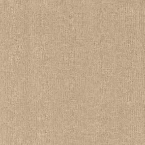 Pattern Frosted Taffy Beige/Tan Carpet