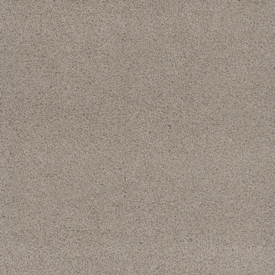 Cut Pile Look Ahead Beige/Tan Carpet