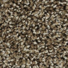 Textured Saxony Mesquite Chip Brown Carpet
