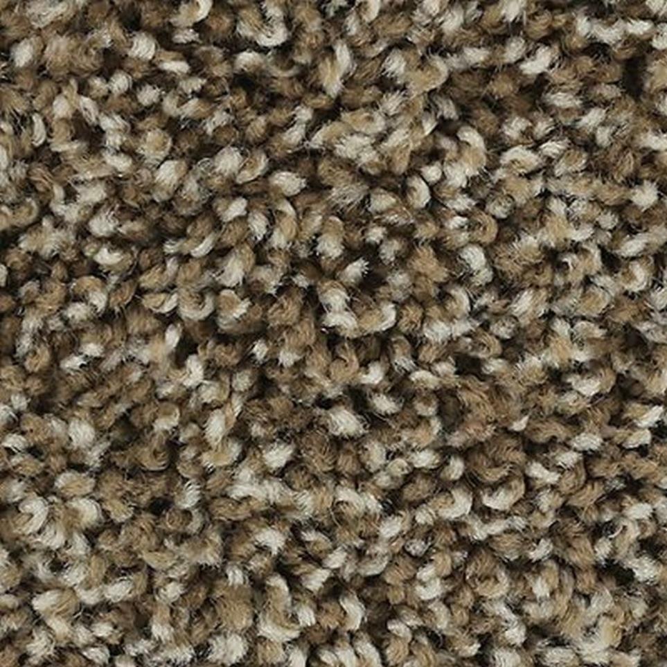 Textured Saxony Mesquite Chip Brown Carpet