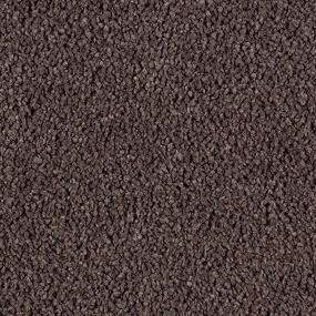 Cut Pile Antigua Brown Brown Carpet