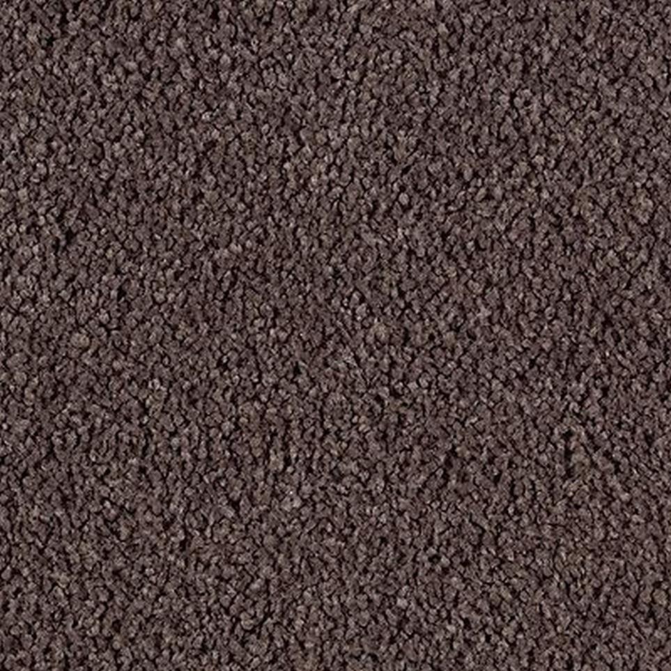 Cut Pile Antigua Brown Brown Carpet