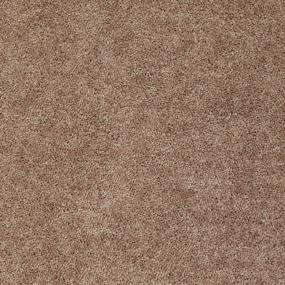 Textured Saxony Log Cabin Brown Carpet