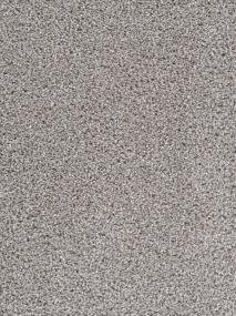 Textured Saxony Liberation Beige/Tan Carpet