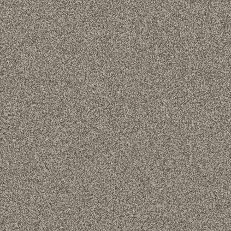 Textured Saxony Iron Hues Beige/Tan Carpet