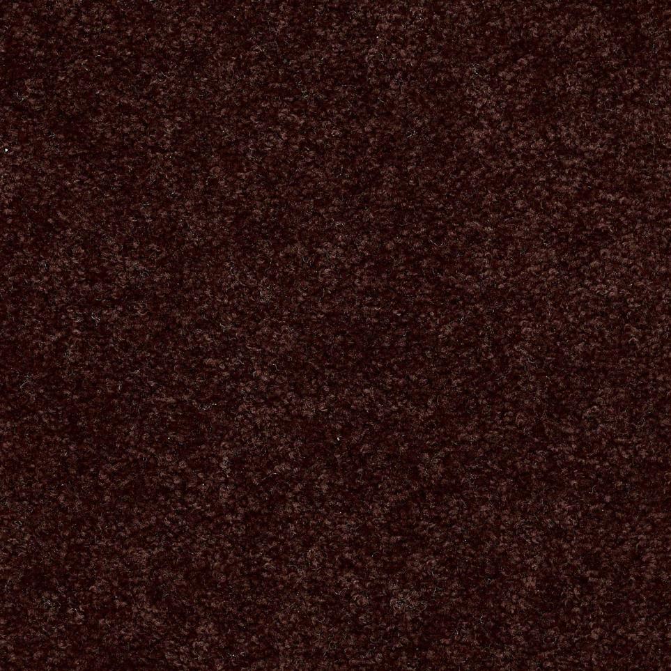 Textured Saxony Fudgesicle Brown Carpet