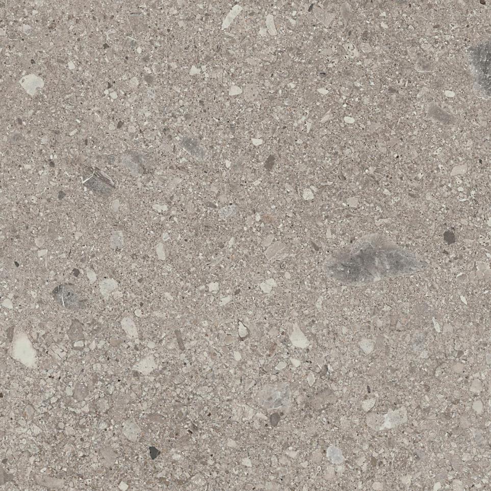 Tile Magistrate Matte Gray Tile