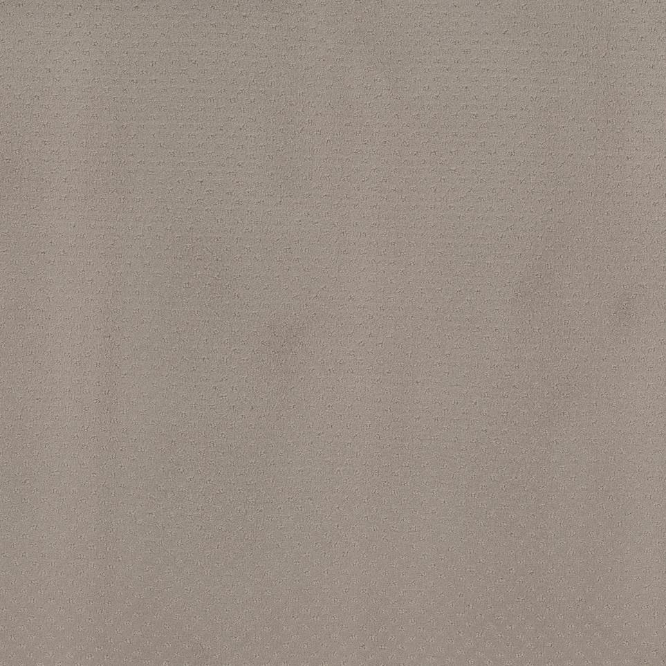 Pattern Ecru Beige/Tan Carpet