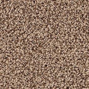Textured Saxony Phoenix Brown Carpet