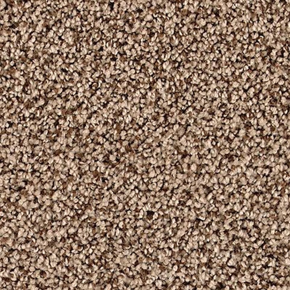 Textured Saxony Phoenix Brown Carpet