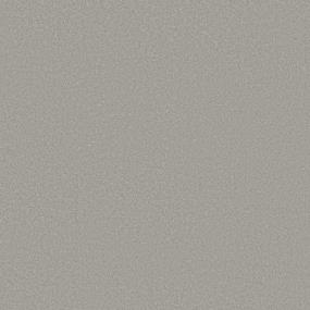 Texture Mineral Gray Carpet