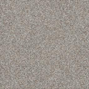 Textured Saxony Weathered Wood Brown Carpet