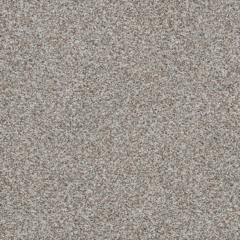 Textured Saxony Weathered Wood Brown Carpet