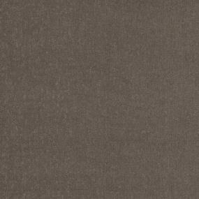 Pattern Grenadine Brown Carpet
