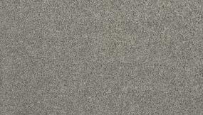 Texture Pace Gray Carpet