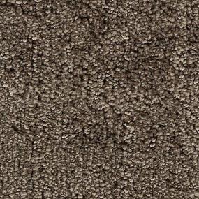 Textured Saxony Moonstone Brown Carpet