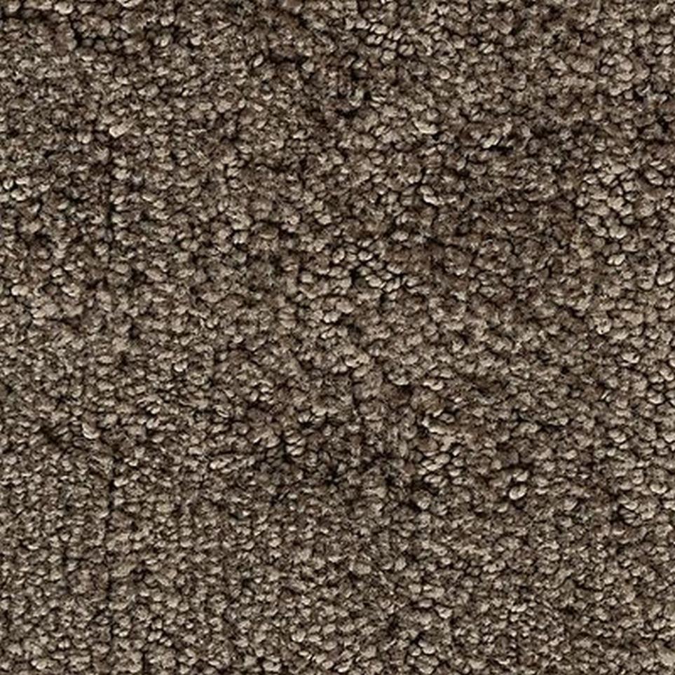 Textured Saxony Moonstone Brown Carpet