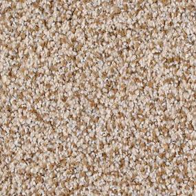 Textured Saxony Sapling  Carpet