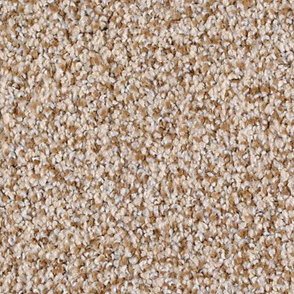 Textured Saxony Sapling  Carpet