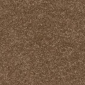 Texture Saddle Brown Carpet