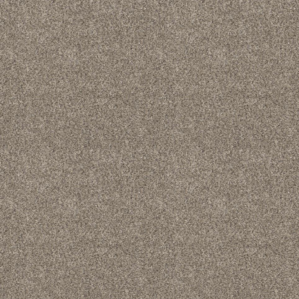 Texture Desert Beige/Tan Carpet