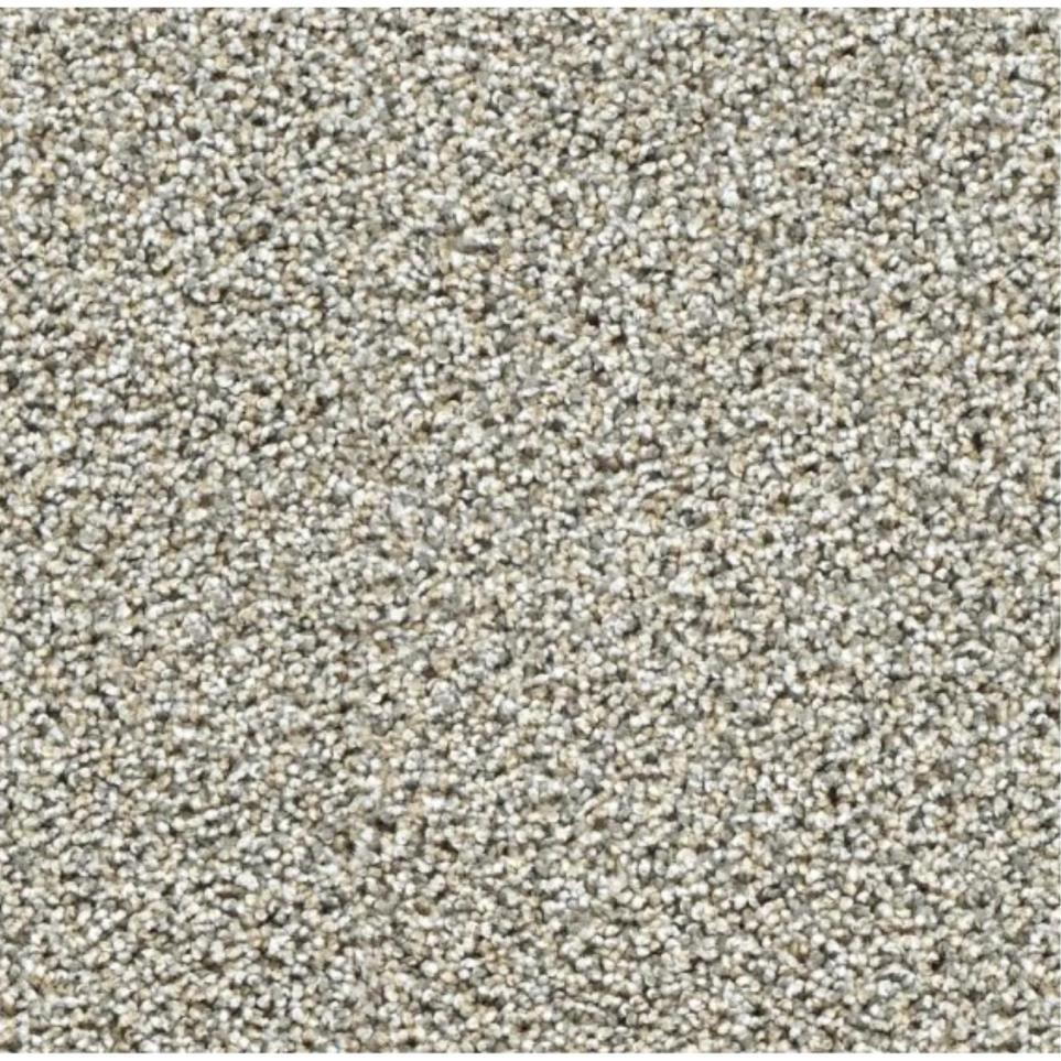 Textured Saxony Easy Living Gray Carpet