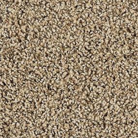 Textured Saxony Thatched Cottage Beige/Tan Carpet
