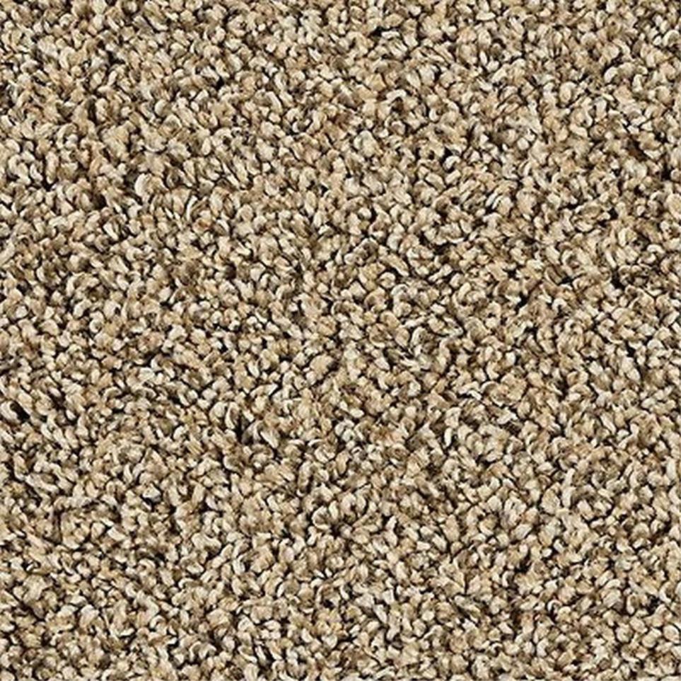 Textured Saxony Thatched Cottage Beige/Tan Carpet