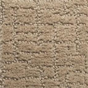 Pattern Honey Shell Beige/Tan Carpet