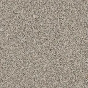 Textured Saxony Mansion Beige/Tan Carpet
