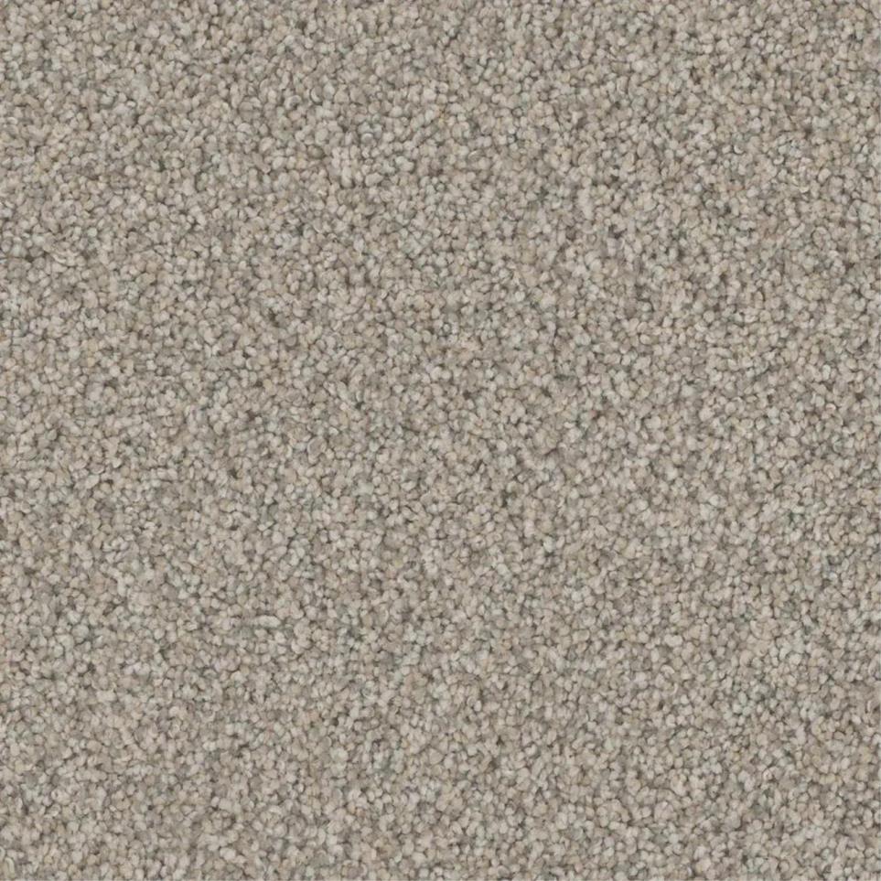 Textured Saxony Mansion Beige/Tan Carpet