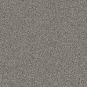 Textured Saxony Derby Gray Carpet