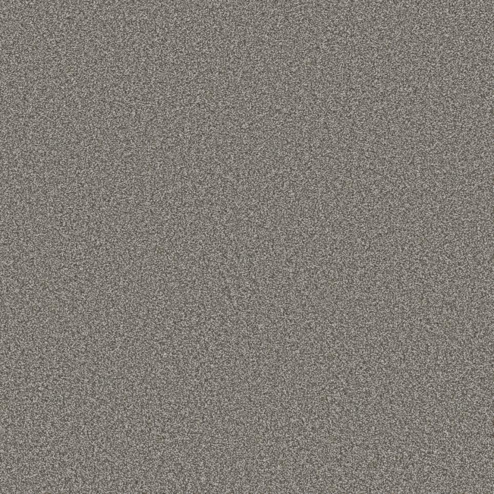 Textured Saxony Derby Gray Carpet