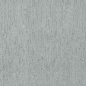 Pattern Surf Gray Carpet