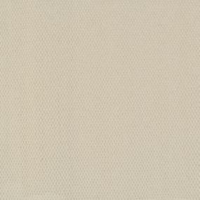 Pattern Envy White Carpet