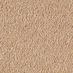Textured Saxony Illusion Beige/Tan Carpet