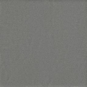 Textured Saxony Arch Gray Carpet