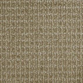 Pattern Mesquite Brown Carpet