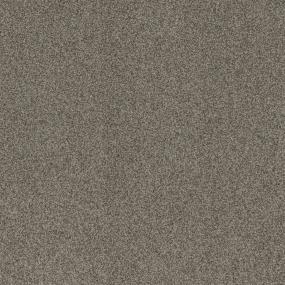 Textured Saxony Palisade Beige/Tan Carpet