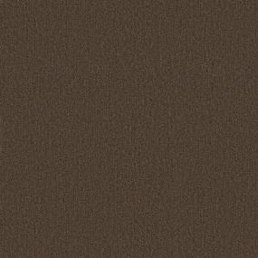 Loop Breakthrough Brown Carpet