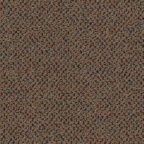 Loop Healing Brown Carpet